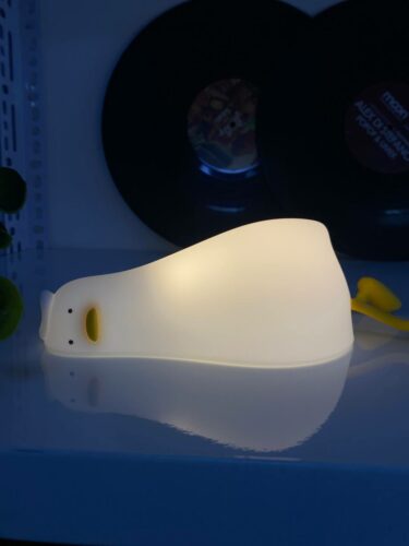 Duck Lamp Laying Down photo review