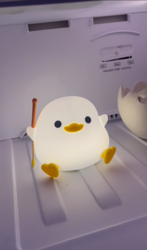 Cute Bean Duck Night Light, DoDo Duck Silicone Nursery Night Light photo review